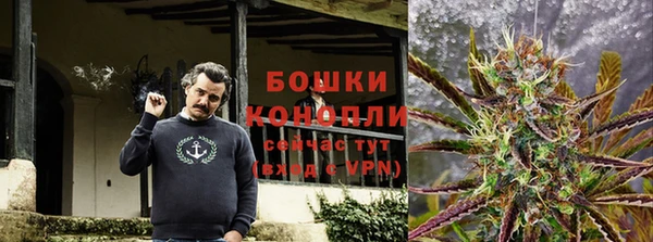 ПСИЛОЦИБИНОВЫЕ ГРИБЫ Абдулино