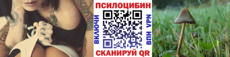 хочу наркоту  Химки  Галлюциногенные грибы Psilocybe 