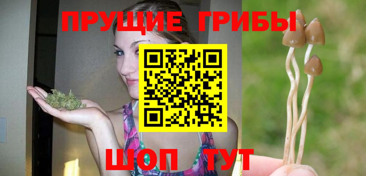 Псилоцибиновые грибы Psilocybe  Вход с VPN  Химки 