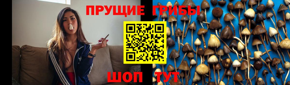 Галлюциногенные грибы ЛСД Химки